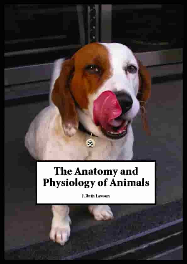 Anatomy and Physiology of Animals – Digital Learning Library