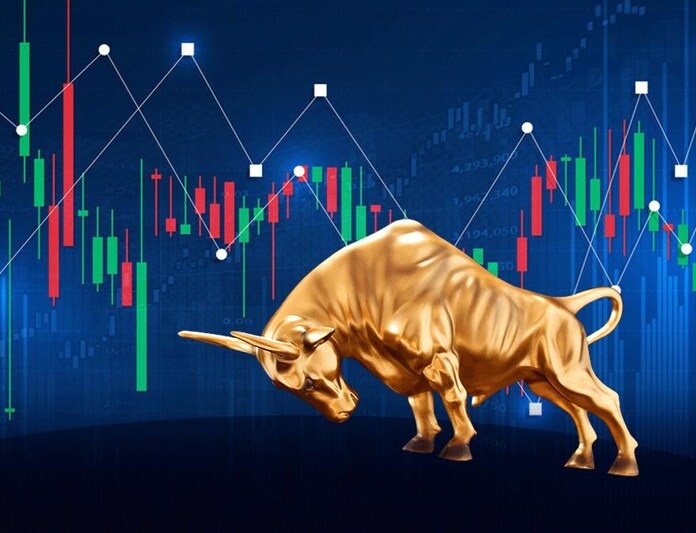 Arfin India Share Price