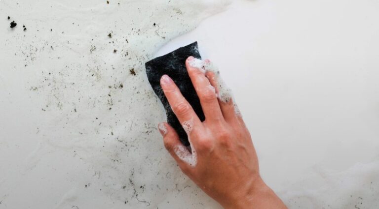 When Is It Safe to Clean Mold Yourself vs Calling an Expert