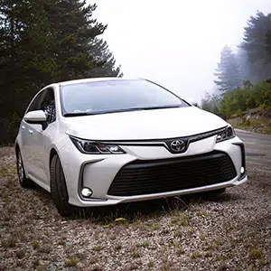 The Benefits of Using Specialized Vehicle Transport Services