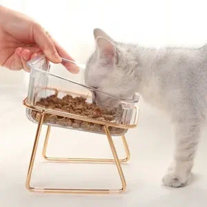 How to Find Affordable and Reliable Cat Supplies Online